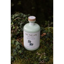 NCNEAN - QUIET REBELS SARAH